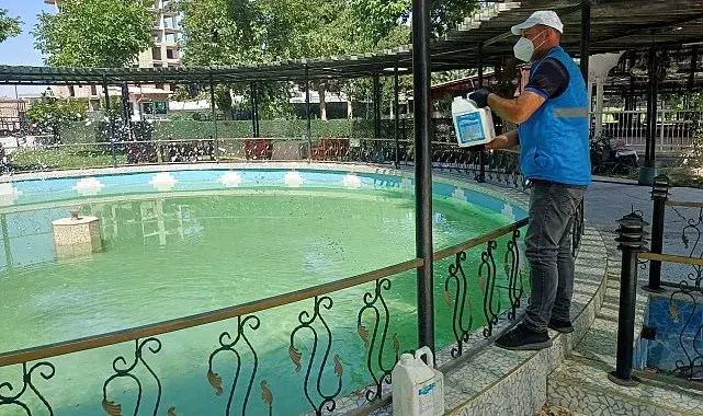 Adıyaman Belediyesi'nden üvez ve sivrisineğe karşı kesintisiz mücadele