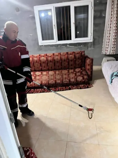 Hatay Samandağ'da Yerleşim Alanında Görülen Yılan Doğaya Salındı