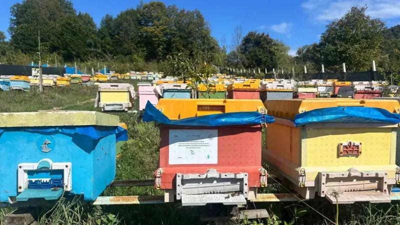 Genç Çiftçi Projesi İle Başlayan Arıcılık Serüveni Profesyonel Üretime Dönüştü