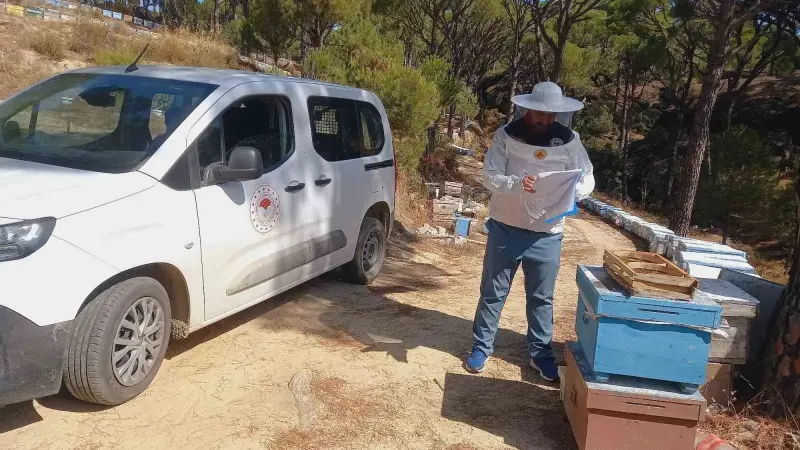Bozdoğan'da Arıcılara Yönelik Kovan Destek Çalışmaları Sürüyor
