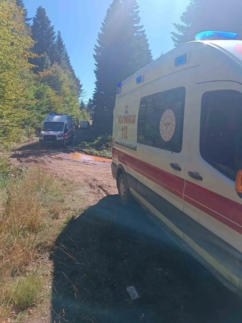 Sakarya’da Traktör Kazası: Mantar Toplamaya Giden Dede Hayatını Kaybetti