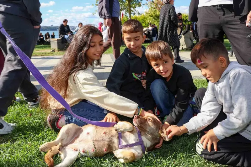 Beykoz Yaşam Festivali Hayvanseverleri Ve Aileleri Bir Araya Getirdi