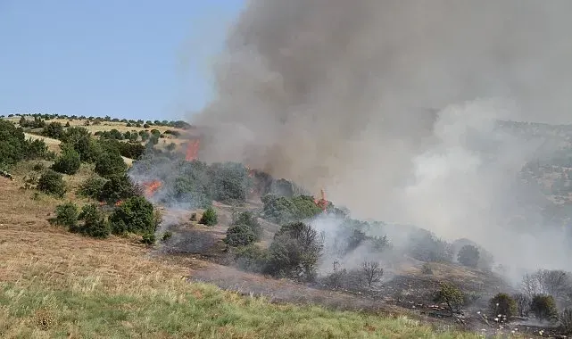 Mahalle ekipleri 28 yangını büyümeden durdurdu