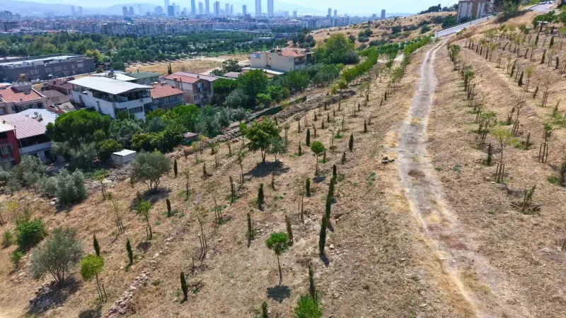 İzmir Büyükşehir Belediyesi 1 Milyon Metrekareyi Aşan Alanda Yeşil Dönüşüm Başlattı
