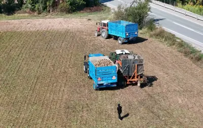Erzincan'da Şeker Pancarı Hasadı Başladı, Üreticiler Taban Fiyatı Bekliyor