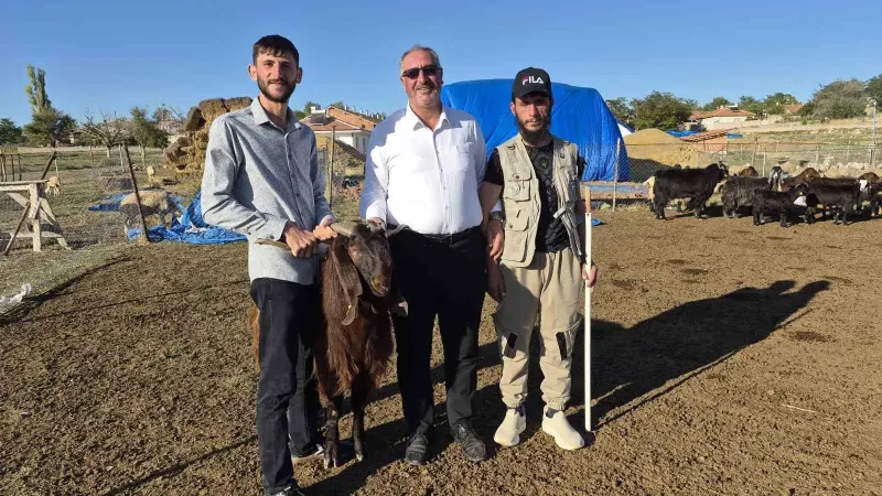 Çobanlıktan Sürü Sahibine Uzanan Başarı Hikayesi