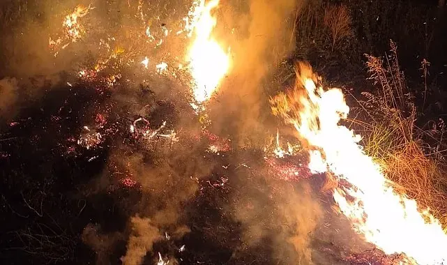Duyarlı vatandaşlar faciayı önledi