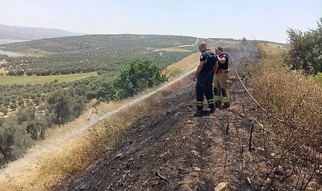 Altınözü'de anız yangını