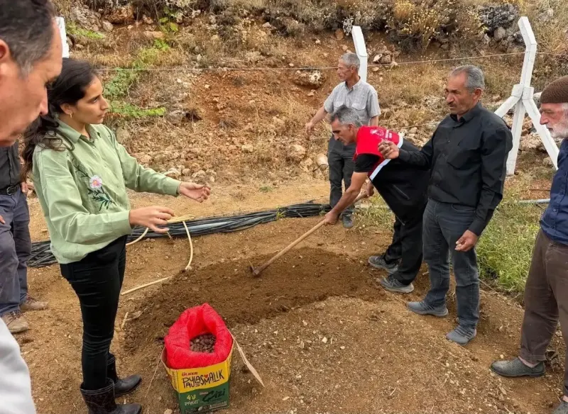 Adıyaman Çelikhan'da Üreticilere Salep Yumrusu Desteği Verildi