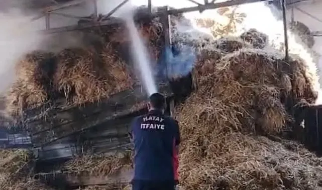 Reyhanlı'da samanlık yangını