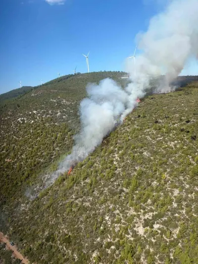Bodrum Mazı Mahallesi'nde Ormanlık Alanda Yangın Çıktı