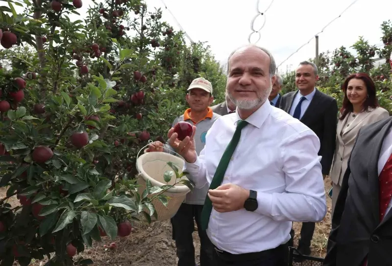Üniversitenin Elma Bahçesinde Hasat Başladı: Rekolte Hedefi 200 Tonu Aştı