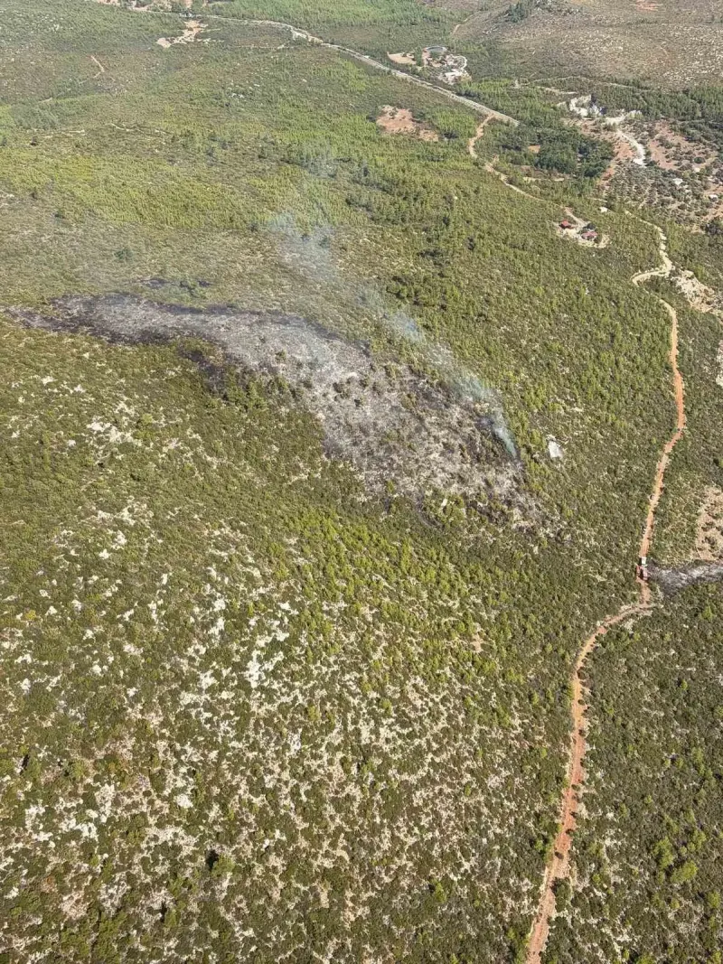 Bodrum Orman Yangını Ekiplerin Müdahalesiyle Kontrol Altına Alındı