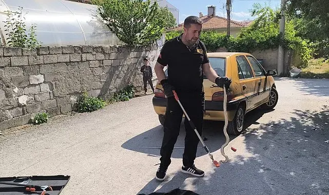 Otomobilin altına giren yılan itfaiye ekiplerince çıkarıldı