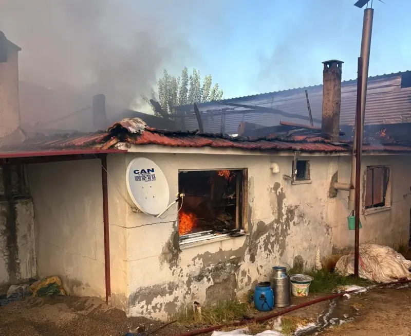 Aydın Karacasu'da Ev Ve Hayvan Damı Yangını Söndürüldü