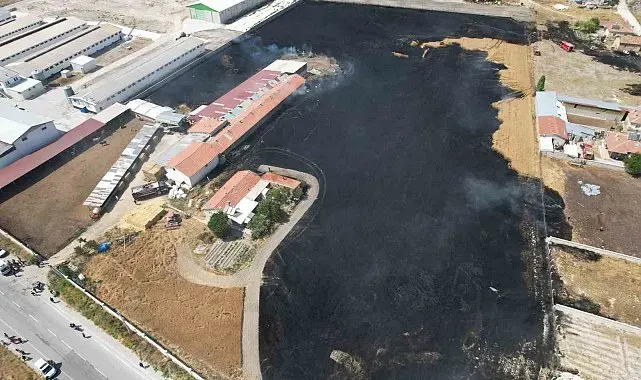 Tarlada çıkan yangın yerleşim yerlerine ulaşmadan söndürüldü