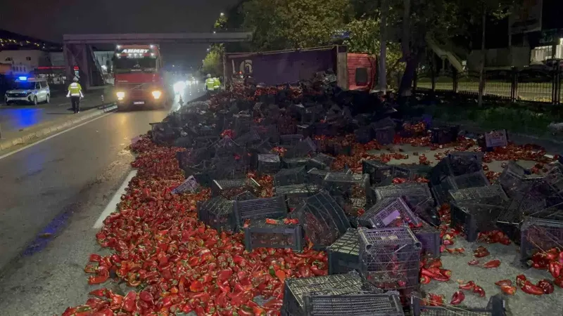 Samsun'da Kamyon Kazası: On Ton Kapya Biber Yola Saçıldı