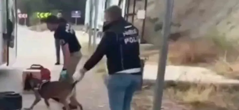 Sinop'ta Narkotik Operasyonu: Yakalanan 3 Şüpheli Tutuklandı