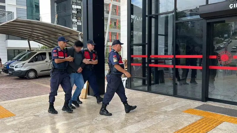 Alanya'da Kuşlara Yönelik Vahşet Görüntüleri Sosyal Medyada Tepki Çekti