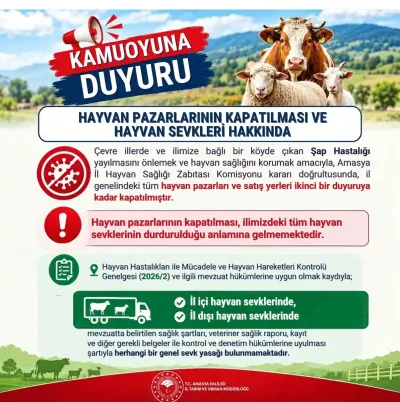 Amasya Genelinde Şap Hastalığı Tedbiri: Hayvan Pazarları Kapatıldı
