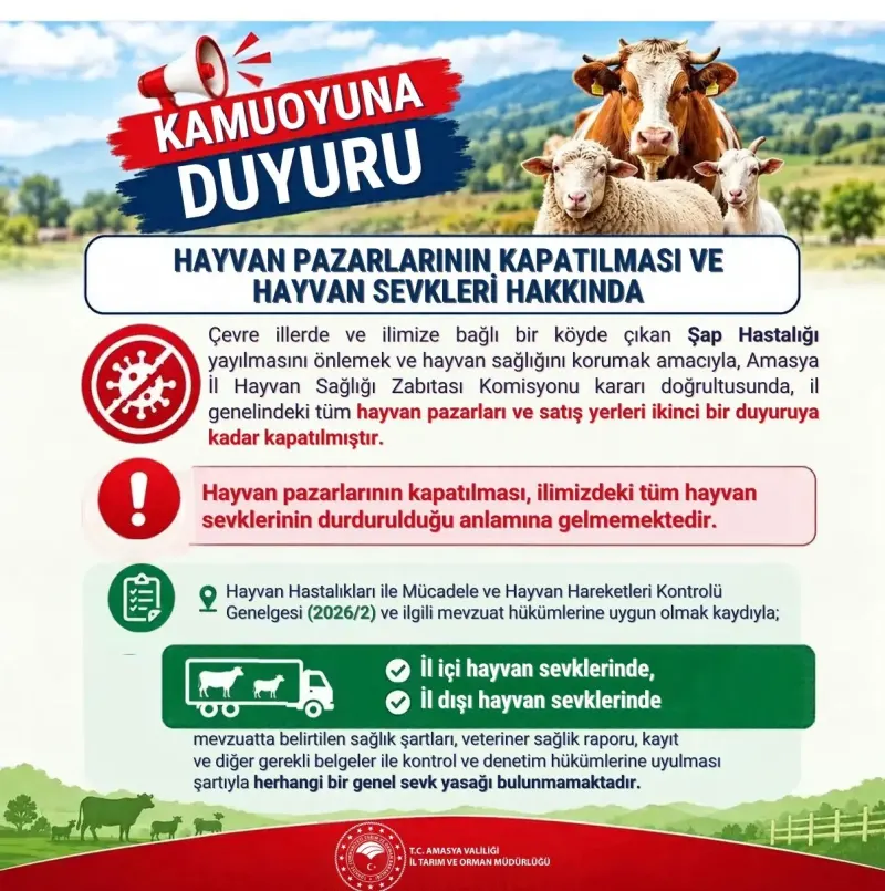 Amasya Genelinde Şap Hastalığı Tedbiri: Hayvan Pazarları Kapatıldı