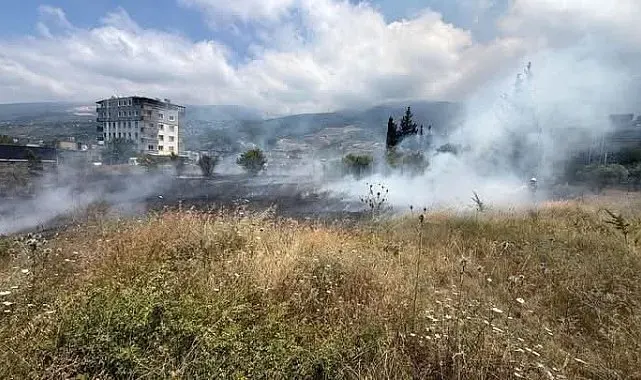 İskenderun'da otluk alan yangını