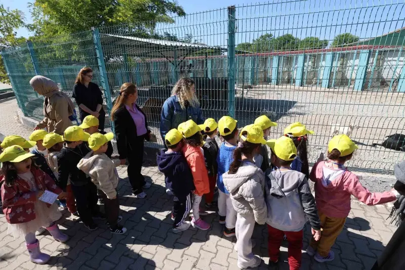 Minik Öğrenciler Hayvanları Koruma Günü'nde Barınağı Ziyaret Etti