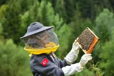 Artvin'de Apiturizm Potansiyelini Geliştirmek İçin Saha Çalışmaları Başlatıldı