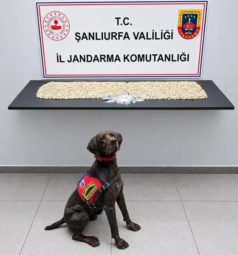 Şanlıurfa'da Düzenlenen Narkotik Operasyonunda Binlerce Uyuşturucu Hap Ele Geçirildi