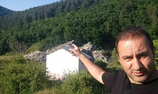 Anne ayı ve 3 yavrusu arazide görüntülendi