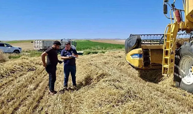 Afyonkarahisar'da hububat hasadı başladı