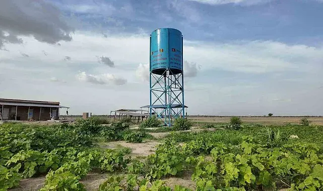 Kurban bağışçılarının hayrına kalıcı eser: Sırr-ı Vahdet Meyve Bahçesi meyve vermeye başladı
