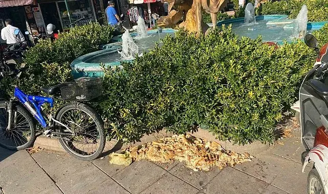 Kuşlar için bırakılan ekmekler çevre kirliliğine neden oldu
