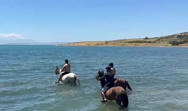 Sıcaktan bunalan gençler atlarıyla Van Gölü'nde serinledi