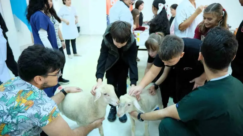 Balıkesir Üniversitesi Veteriner Fakültesinde Dünya Hayvanları Koruma Günü Kutlandı
