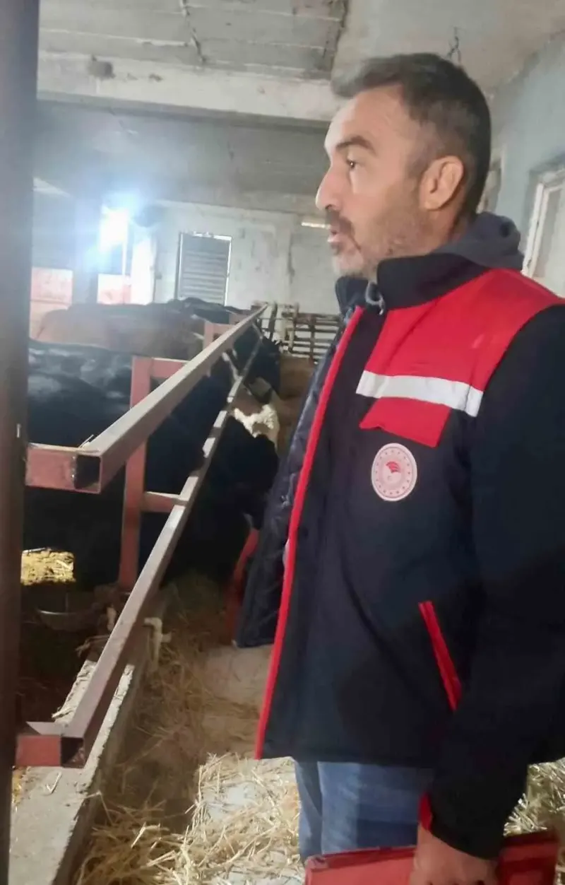 Afyonkarahisar'da İthal Hayvan Barındıran İşletmeler Sıkı Takipte