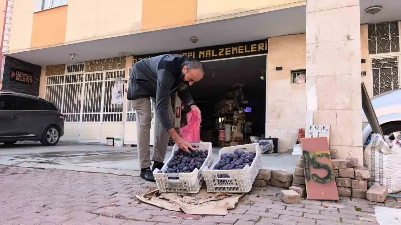 Bursa’da Yetiştirdiği 10 Ton Eriği Satamayan Çiftçi Sosyal Medyada Fenomen Oldu