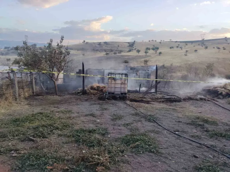 Kütahya Gediz İlçesinde Samanlık Yangını Faciası