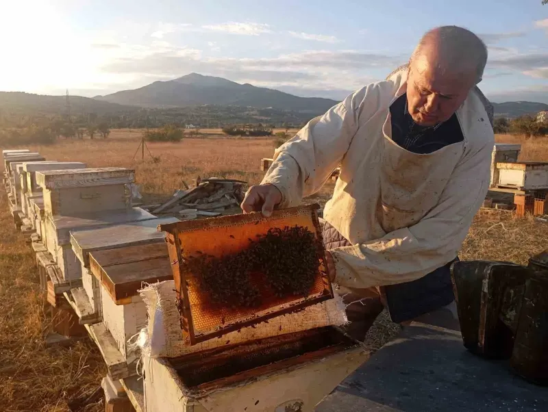 Kütahya Gediz Yaylalarında Arıcılık Sezonu Yüksek Verimle Kapandı