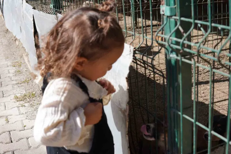 Karabük'te Minik Öğrencilerden Hayvan Barınağına Anlamlı Ziyaret