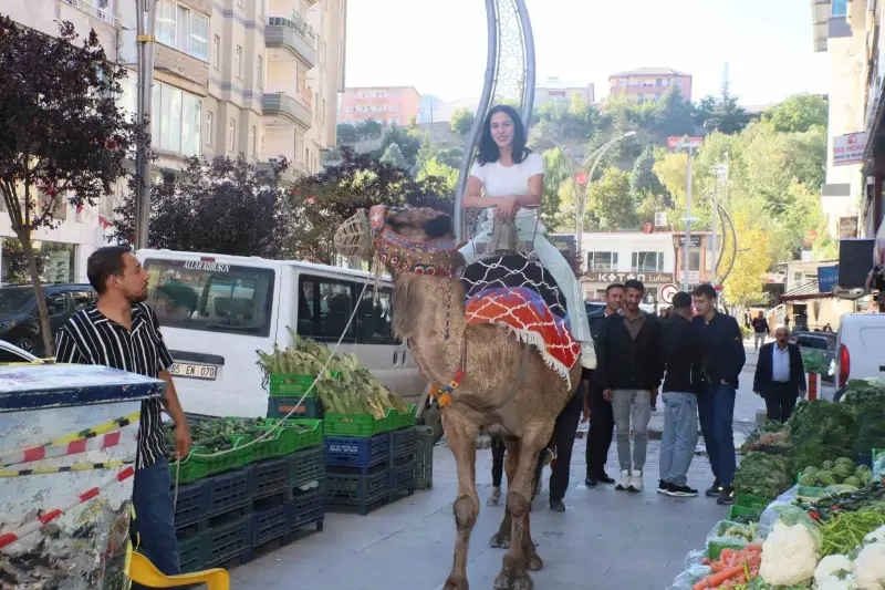 Hakkari'deki Yöresel Ürünler Fuarında Deve ve Midilli Sürprizi