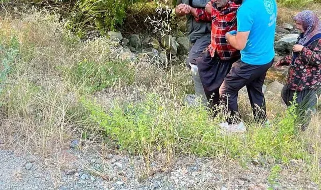 Kozan'da kayalıklardan düşen şahsı orman ekipleri kurtardı