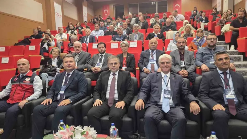 Türkiye Kaz Varlığında Dünya Genelinde Yedinci Sırada Yer Alıyor