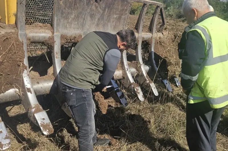 Balıkesir Gönen'de 250 Hektarlık Endüstriyel Ormancılık Sahası Kuruluyor