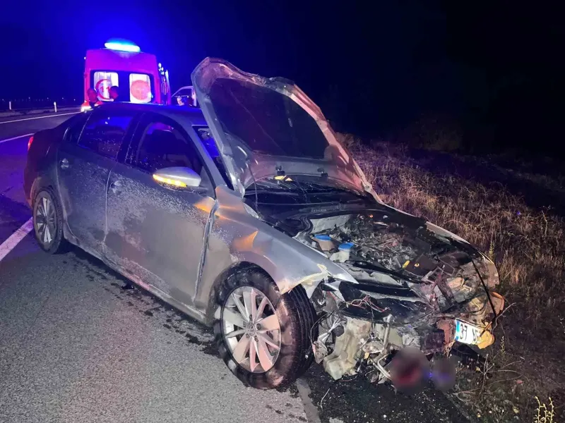 Kastamonu'da Otomobil Domuz Sürüsüne Çarptı: İki Yaralı