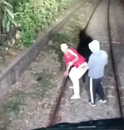 İzmir'de Trenin Önünü Kesen İki Kişi Makinist Kapıyı Açmayınca Taş Yağdırdı