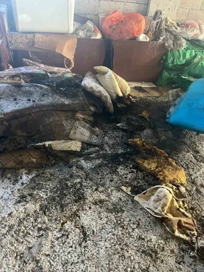 Van Gevaş'ta Müstakil Evin Zemin Katında Çıkan Yangın İtfaiye Tarafından Söndürüldü