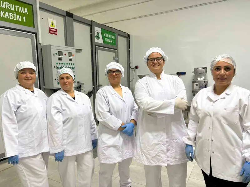 Edirne'de Çölyak Hastası Yeğeni İçin Yola Çıkan Kadınların Kooperatif Başarısı