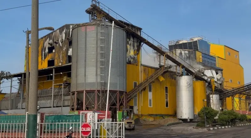 Bandırma'da Yağ Fabrikasındaki Büyük Yangın Kontrol Altına Alındı