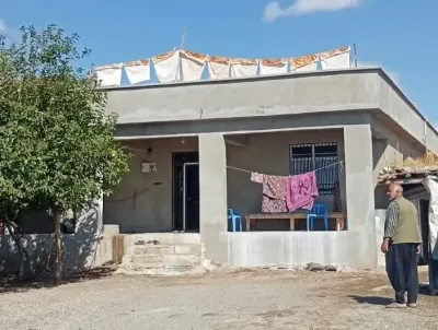 Şanlıurfa Siverek'te Geleneksel Pestil Hazırlıkları Başladı